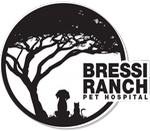 Bressi Ranch Pet Hospital logo