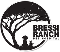 Bressi Ranch Pet Hospital logo